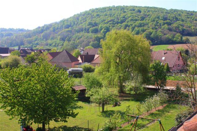 Logis Du Cheval Blanc Hotel Westhalten Eksteriør billede